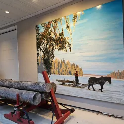 Dorset Heritage Museum - Dorset