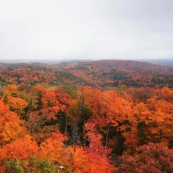Dorset Lookout Tower Trail - Dorset
