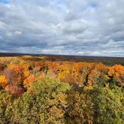 Dorset Scenic Lookout Tower - Dorset