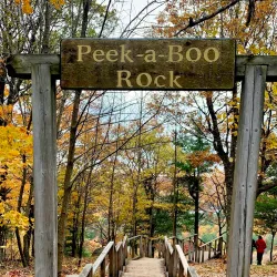 Dorset Scenic Lookout Tower - Dorset