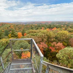 Dorset Scenic Lookout Tower - Dorset