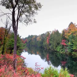 Lake of Bays - Dorset
