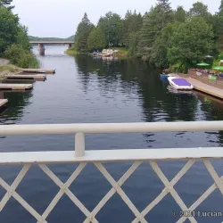 Lake of Bays - Dorset