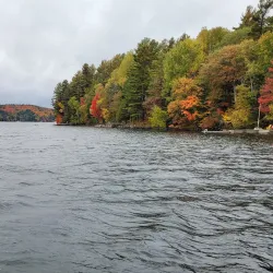 Lake of Bays - Dorset