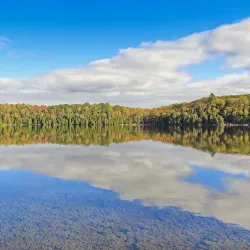 Lake of Bays - Dorset