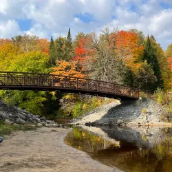 Muskoka River Provincial Park - Dorset