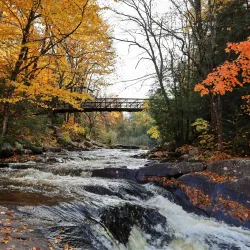 Muskoka River Provincial Park - Dorset