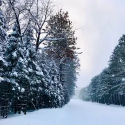 Muskoka River Provincial Park - Dorset