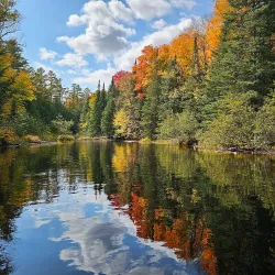 Muskoka River Provincial Park - Dorset