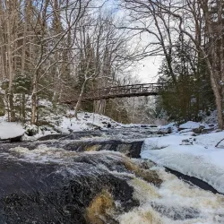 Muskoka River Provincial Park - Dorset