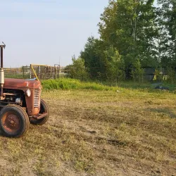 Drayton Valley Farmers' Market - Drayton Valley