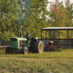 Drayton Valley Farmers' Market - Drayton Valley