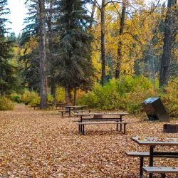Pembina River Provincial Park - Drayton Valley
