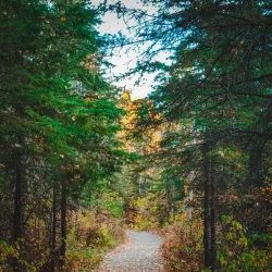 Pembina River Provincial Park - Drayton Valley