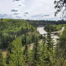 Pembina River Provincial Park - Drayton Valley