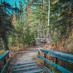 Pembina River Provincial Park - Drayton Valley