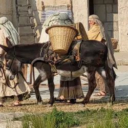 Badlands Amphitheatre - Drumheller