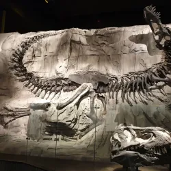 Royal Tyrrell Museum of Palaeontology - Drumheller