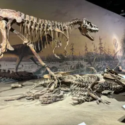 Royal Tyrrell Museum of Palaeontology - Drumheller
