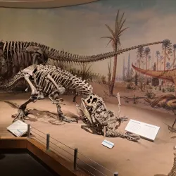 Royal Tyrrell Museum of Palaeontology - Drumheller