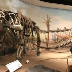 Royal Tyrrell Museum of Palaeontology - Drumheller