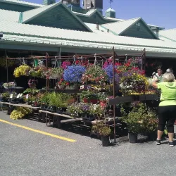 Marché Public de Drummondville - Drummondville