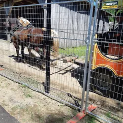Parc des Voltigeurs - Drummondville