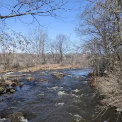Parc Woodyatt Skatepark - Drummondville