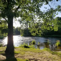 Parc Woodyatt - Drummondville