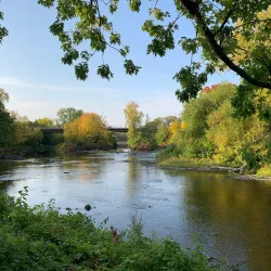 Parc Woodyatt - Drummondville