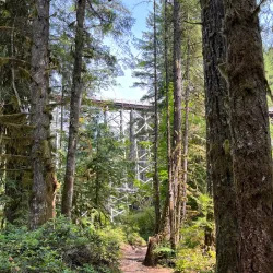Kinsol Trestle - Duncan BC