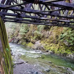 Kinsol Trestle - Duncan BC
