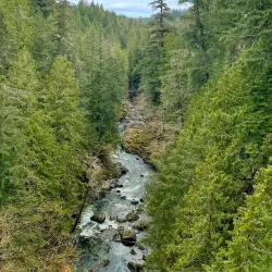 Kinsol Trestle - Duncan BC
