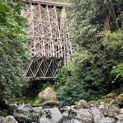 Kinsol Trestle - Duncan BC