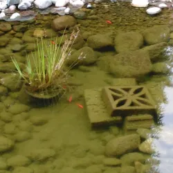 Quw'utsun' Cultural and Conference Centre - Duncan BC