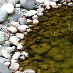 Quw'utsun' Cultural and Conference Centre - Duncan BC