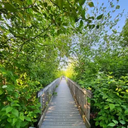 Somenos Marsh Wildlife Refuge - Duncan BC