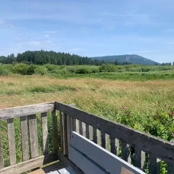 Somenos Marsh Wildlife Refuge - Duncan BC