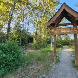 Somenos Marsh Wildlife Refuge - Duncan BC