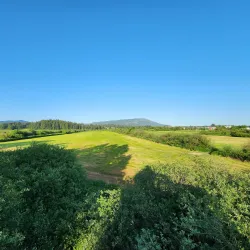 Somenos Marsh Wildlife Refuge - Duncan BC