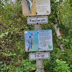 Somenos Marsh Wildlife Refuge - Duncan BC