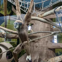 Edmonton Valley Zoo - Edmonton