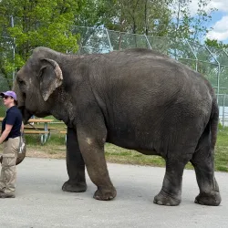 Edmonton Valley Zoo - Edmonton