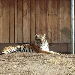 Edmonton Valley Zoo - Edmonton