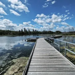 Elk Island National Park - Edmonton