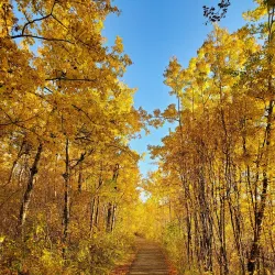 Elk Island National Park - Edmonton