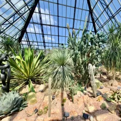 Muttart Conservatory - Edmonton