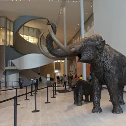 Royal Alberta Museum - Edmonton