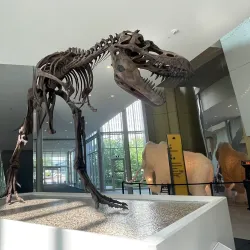 Royal Alberta Museum - Edmonton