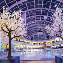 West Edmonton Mall - Edmonton